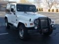 Stone White - Wrangler Sahara 4x4 Photo No. 15