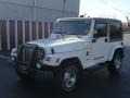 Stone White - Wrangler Sahara 4x4 Photo No. 16