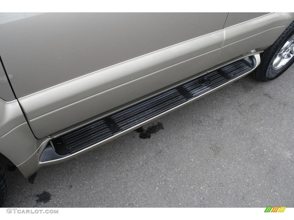 2003 GX 470 - Dorado Gold Pearl / Ivory photo #40