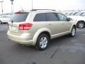 White Gold - Journey SXT Photo No. 5