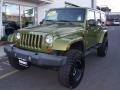 2007 Rescue Green Metallic Jeep Wrangler Unlimited Sahara 4x4  photo #1