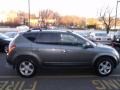 Platinum Metallic - Murano SL AWD Photo No. 6