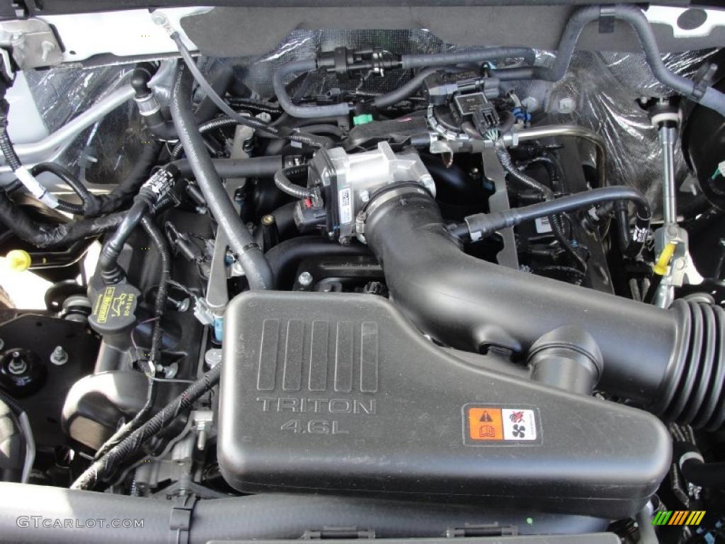 2010 Ford F150 XL Regular Cab 4.6 Liter SOHC 16-Valve Triton V8 Engine Photo #41270817