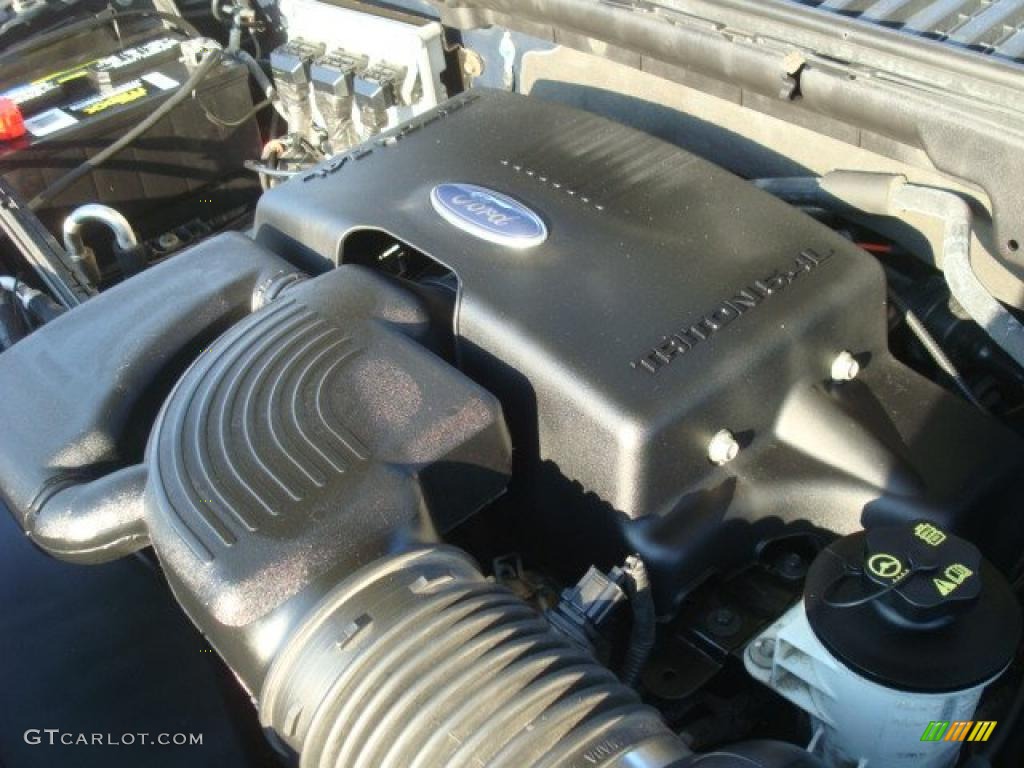 2004 Ford Expedition Eddie Bauer 5.4 Liter SOHC 16-Valve Triton V8 Engine Photo #41274457