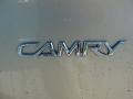 Desert Sand Mica - Camry LE Photo No. 19
