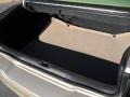 Beige Trunk Photo for 2006 Lincoln LS #41275897