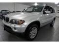 Titanium Silver Metallic - X5 3.0i Photo No. 1