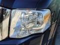 2009 Dark Blue Pearl Metallic Ford Expedition XLT  photo #10