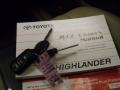 Bluestone Metallic - Highlander Limited Photo No. 29
