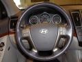  2007 Veracruz Limited Steering Wheel