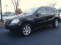 Black - ML 350 4Matic Photo No. 2