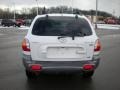 2004 Nordic White Hyundai Santa Fe LX 4WD  photo #5