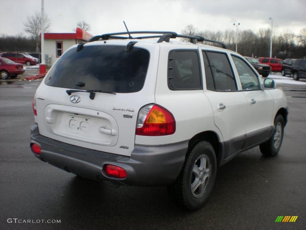 2004 Santa Fe LX 4WD - Nordic White / Gray photo #6