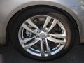 Platinum Graphite Gray - G 37 Coupe Photo No. 11