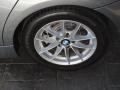 2010 BMW 3 Series 328i Sedan Wheel and Tire Photo