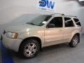 2004 Gold Ash Metallic Ford Escape Limited 4WD  photo #2