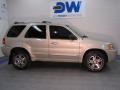 2004 Gold Ash Metallic Ford Escape Limited 4WD  photo #6