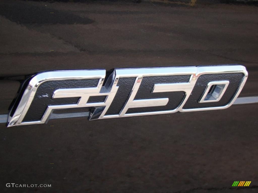 2010 F150 FX4 SuperCrew 4x4 - Tuxedo Black / Black photo #45