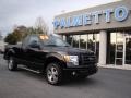 2009 Black Ford F150 STX Regular Cab  photo #2