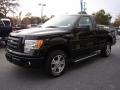 Black - F150 STX Regular Cab Photo No. 4