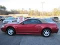 2001 Laser Red Metallic Ford Mustang V6 Convertible  photo #4