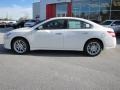 Winter Frost White - Maxima 3.5 SV Photo No. 2
