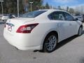 Winter Frost White - Maxima 3.5 SV Photo No. 4