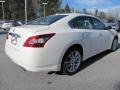 2011 Winter Frost White Nissan Maxima 3.5 SV  photo #4