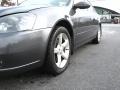 Smoke Metallic - Altima 3.5 SE Photo No. 3