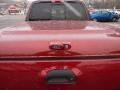 2002 Toreador Red Metallic Ford F150 XLT SuperCrew 4x4  photo #17