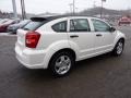 Stone White - Caliber SXT Photo No. 4