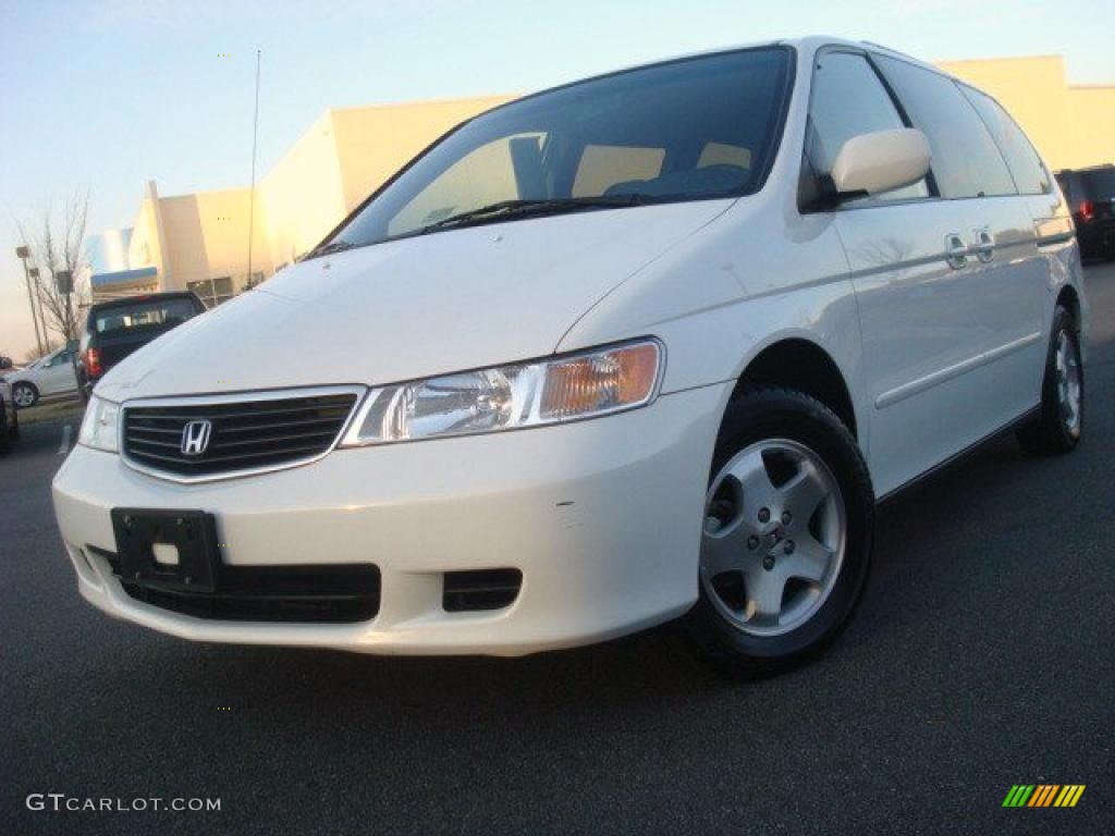 Taffeta White Honda Odyssey