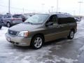 2005 Spruce Green Metallic Ford Freestar Limited  photo #7