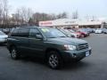 Oasis Green Pearl - Highlander V6 4WD Photo No. 1