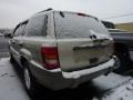 Light Pewter Metallic - Grand Cherokee Laredo 4x4 Photo No. 4