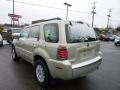 Gold Ash Metallic - Mariner Convenience 4WD Photo No. 2