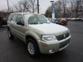 Gold Ash Metallic 2006 Mercury Mariner Convenience 4WD Exterior