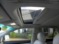 Light Gray Sunroof Photo for 2006 Lexus RX #41339848