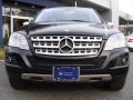 Black - ML 350 4Matic Photo No. 3