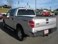 2010 Ingot Silver Metallic Ford F150 XLT SuperCrew 4x4  photo #8