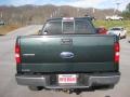 2006 Aspen Green Metallic Ford F150 XLT SuperCab 4x4  photo #16