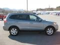 2007 Bright Silver Hyundai Santa Fe SE 4WD  photo #5