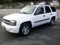 2004 Summit White Chevrolet TrailBlazer LS 4x4  photo #8