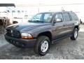 Graphite Metallic - Durango SXT 4x4 Photo No. 1