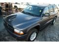 Graphite Metallic - Durango SXT 4x4 Photo No. 3