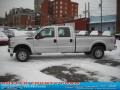 Ingot Silver Metallic - F250 Super Duty XL Crew Cab 4x4 Photo No. 6