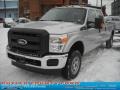 Ingot Silver Metallic - F250 Super Duty XL Crew Cab 4x4 Photo No. 19