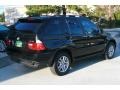 2005 Black Sapphire Metallic BMW X5 3.0i  photo #11