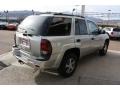 Silverstone Metallic - TrailBlazer LS 4x4 Photo No. 3