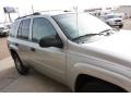 Silverstone Metallic - TrailBlazer LS 4x4 Photo No. 17